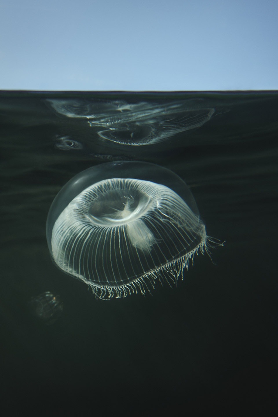 snohetta completes under europes first underwater restaurant