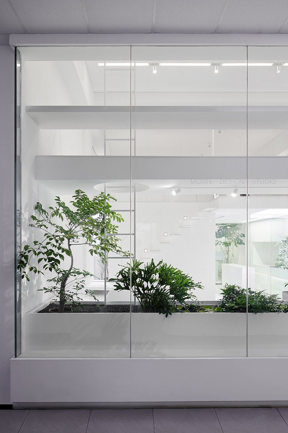 the new office of muxin studio china by muxin studio