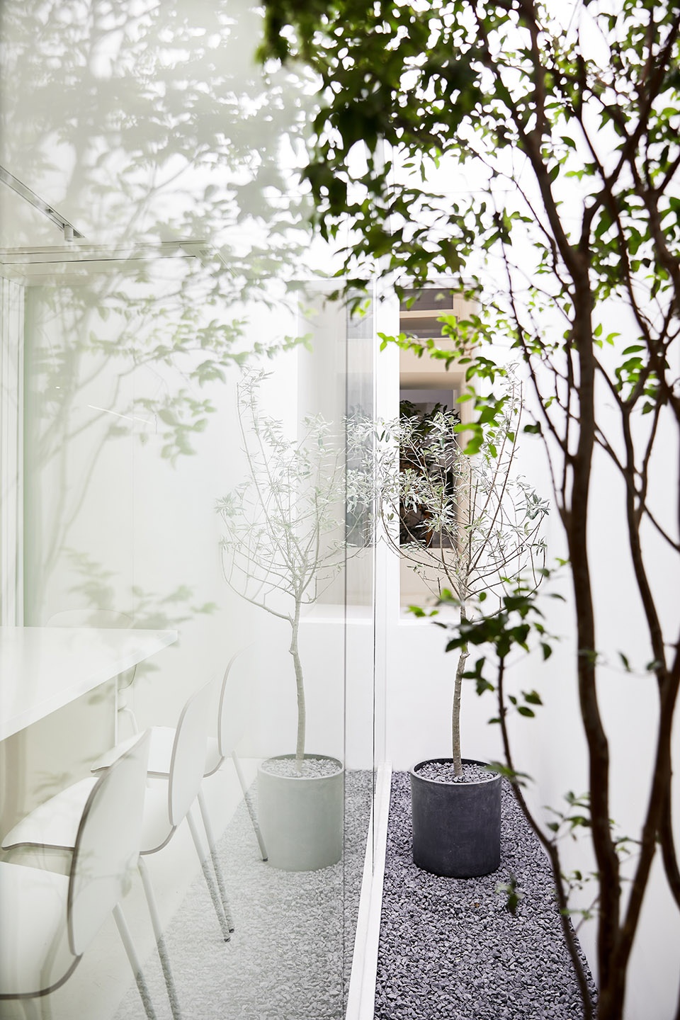 the new office of muxin studio china by muxin studio