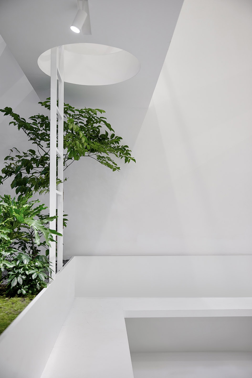 the new office of muxin studio china by muxin studio