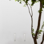 每个人的花园 - 生态办公室改造，上海 /目心设计研究室