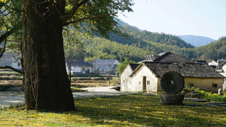 history museum of qifeng village china by sup atelier