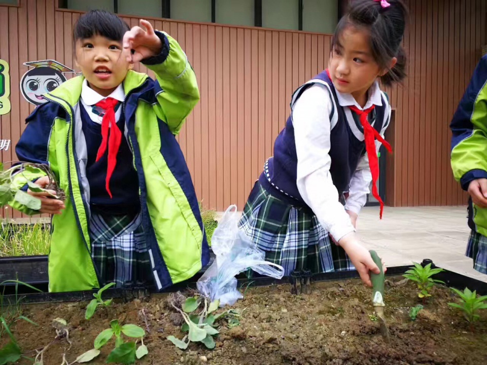 gooood interview li shuo suzhou elementary school10