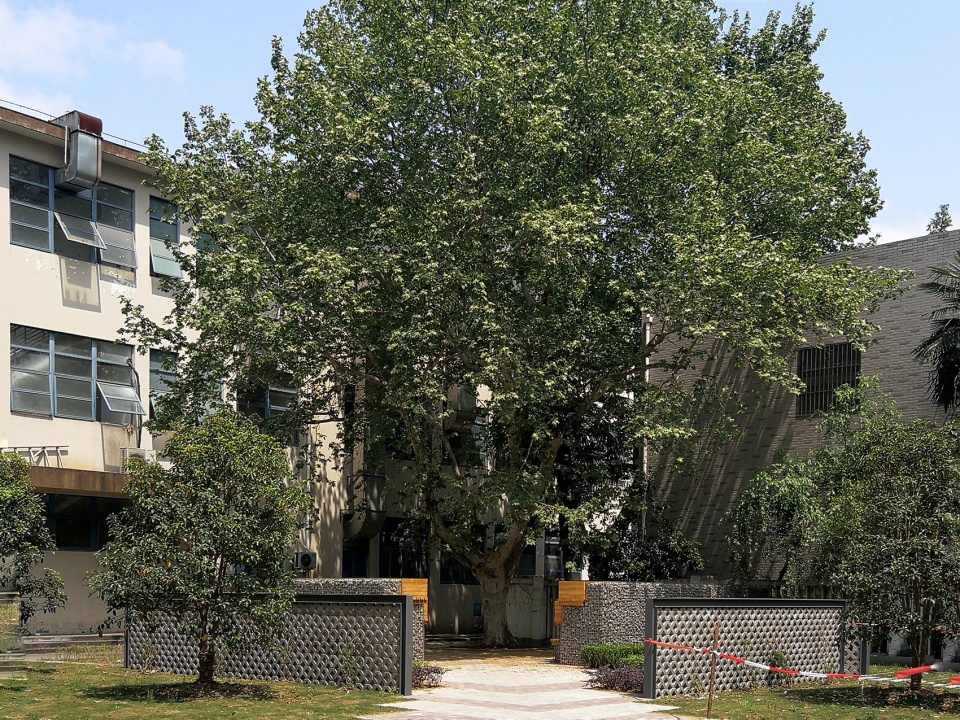 four squares landscape micro update of siping road campus of tongji university china by tjad