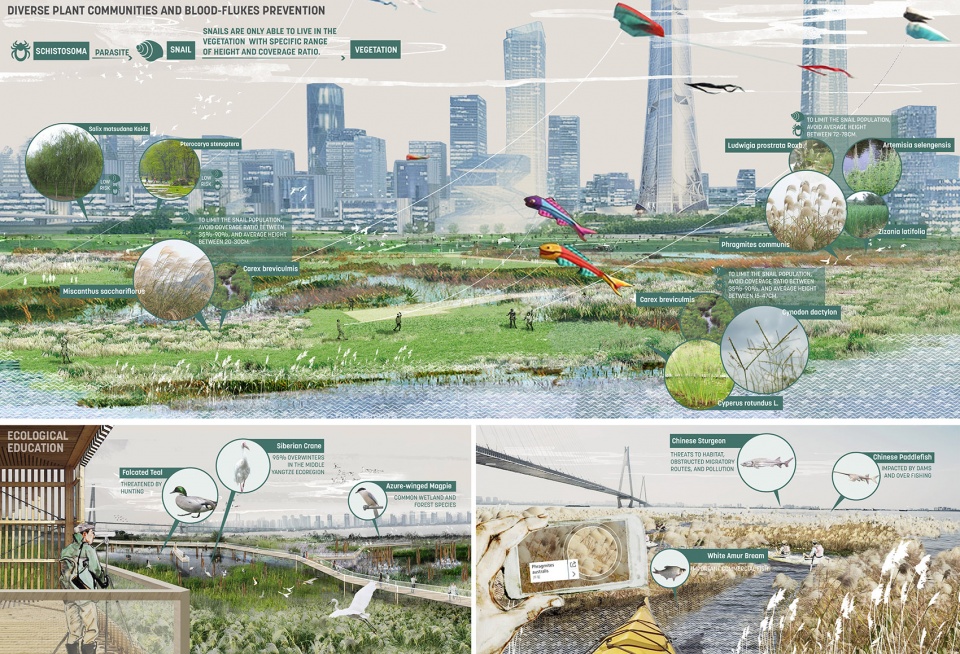 wuhan yangtze riverfront park in china by sasaki