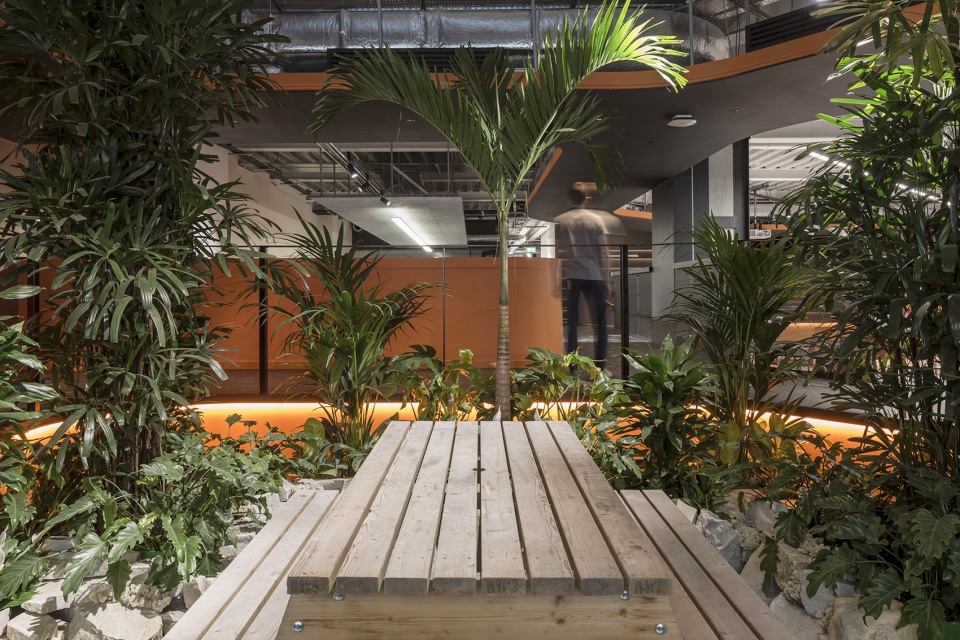 rothco new office by odos architects