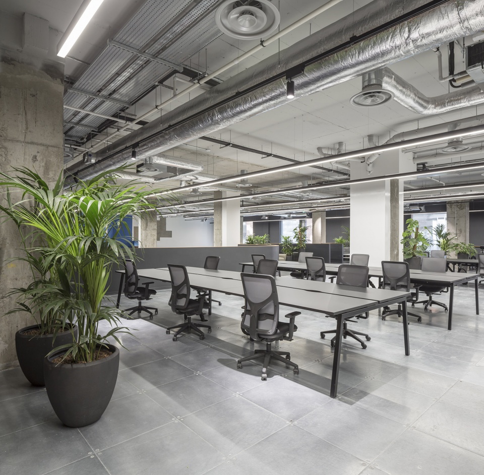 rothco new office by odos architects