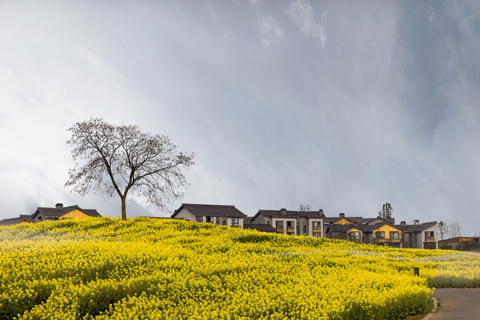 common ground pastoral demonstration area western sichuan china by syn architects