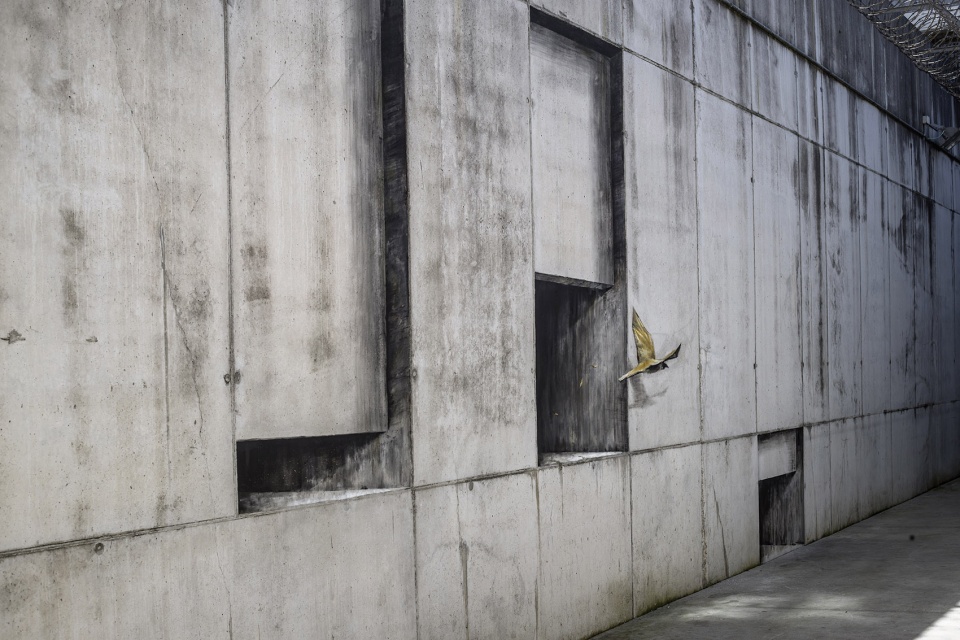 gold mine by pejac