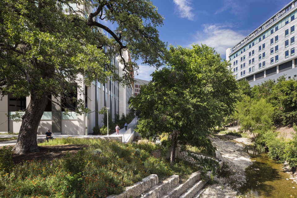 dell medical district landscape by sasaki