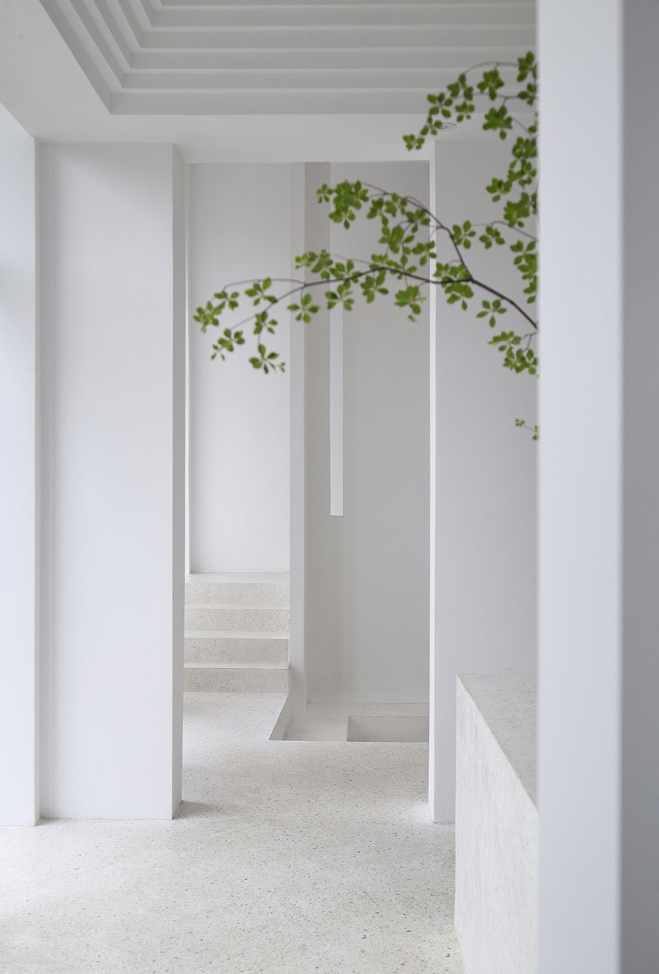 wu yoga in wuxi china by jcd interior design