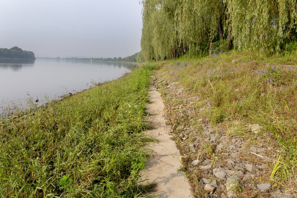 riverside commercial eco park china by collective landscape design