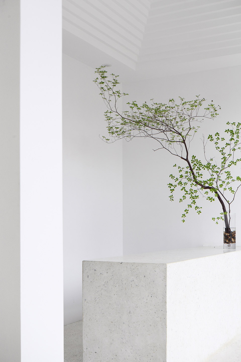 wu yoga in wuxi china by jcd interior design
