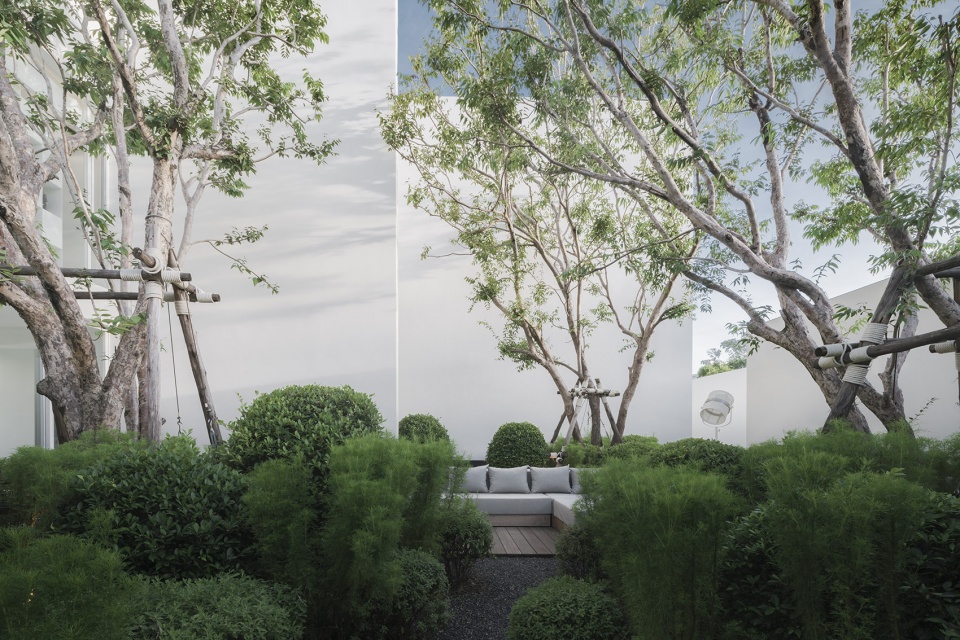 residence rabbits by trop terrains open space