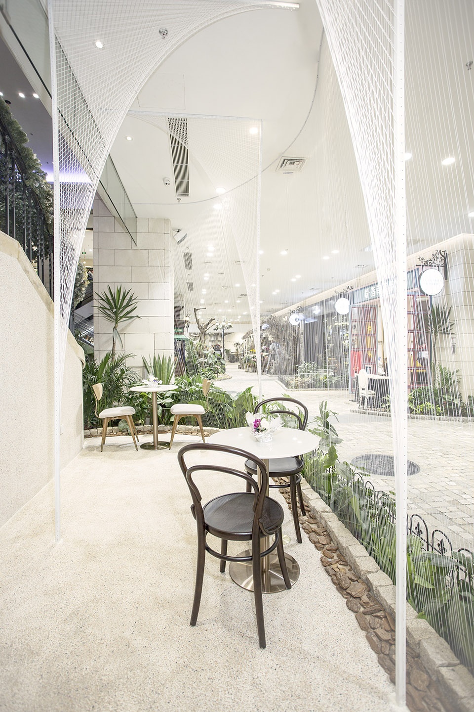 to my dearest patisserie in beijing china by odd
