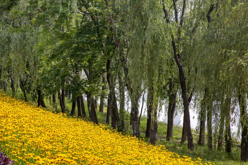 riverside commercial eco park china by collective landscape design