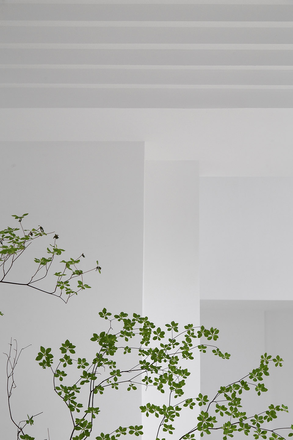wu yoga in wuxi china by jcd interior design
