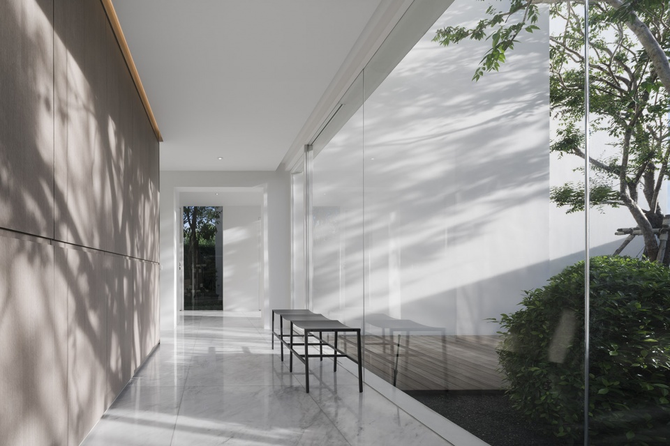 residence rabbits by trop terrains open space