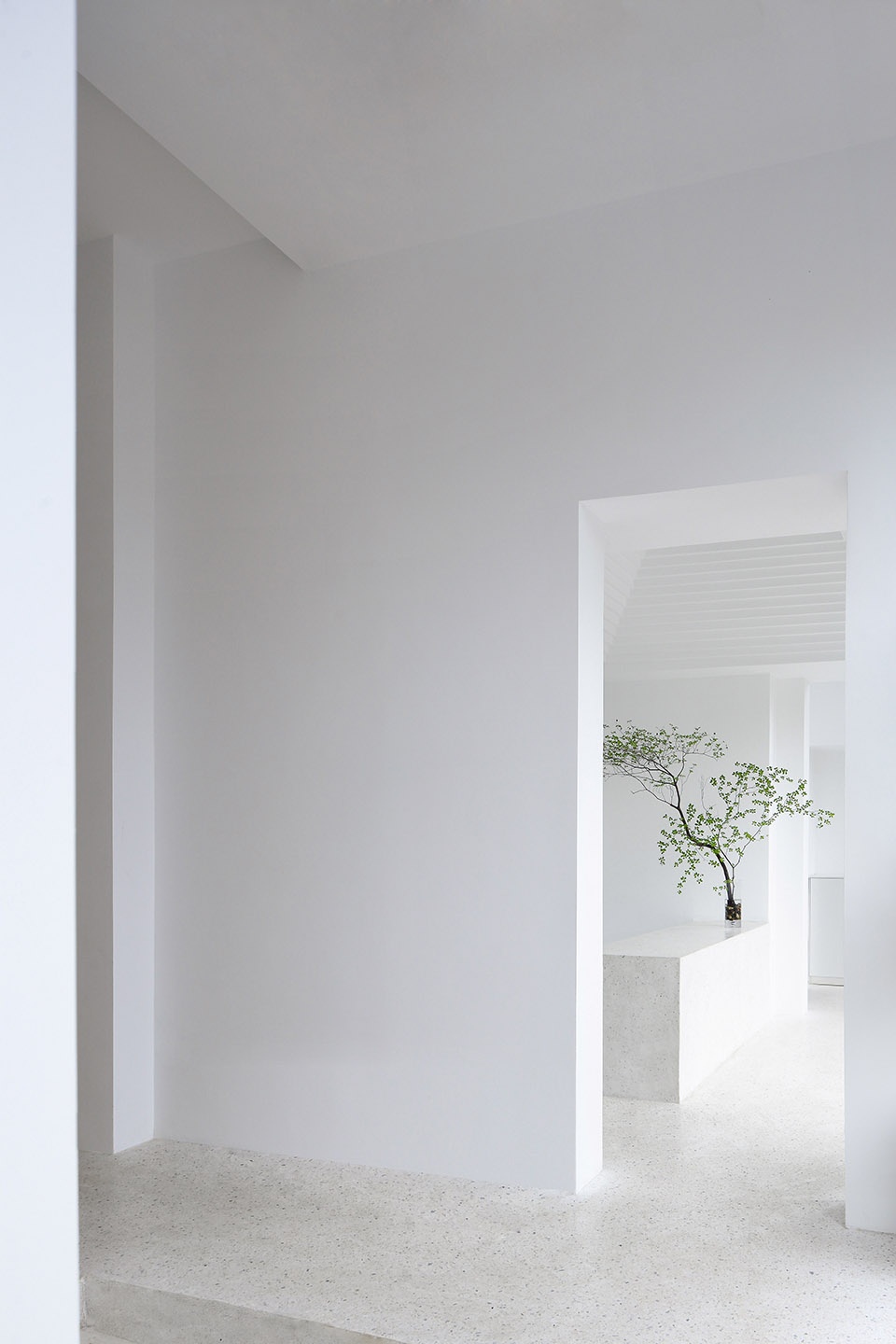 wu yoga in wuxi china by jcd interior design
