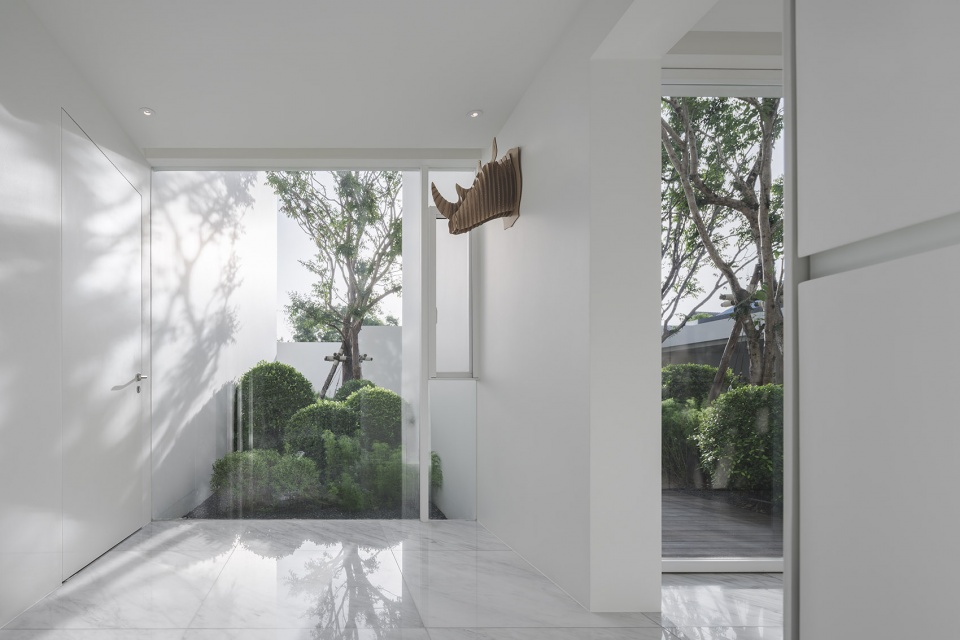residence rabbits by trop terrains open space