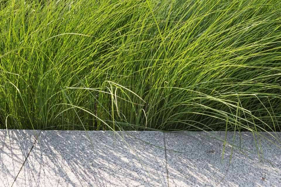 riverside commercial eco park china by collective landscape design