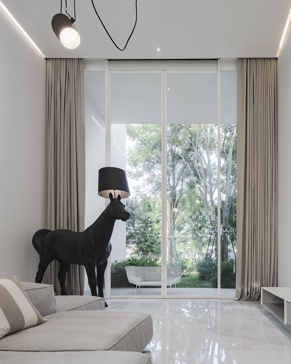 residence rabbits by trop terrains open space