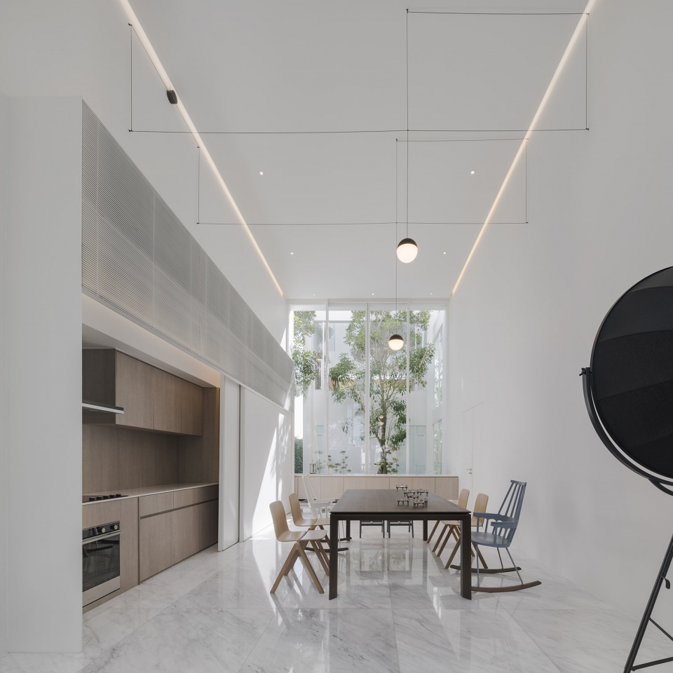 residence rabbits by trop terrains open space