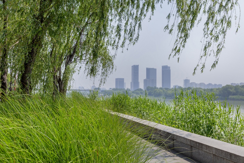 riverside commercial eco park china by collective landscape design