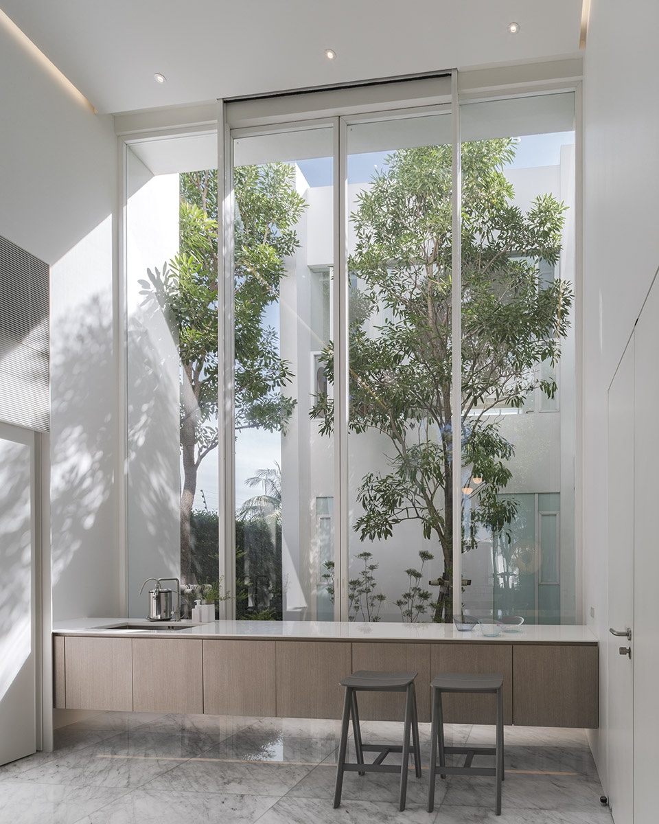 residence rabbits by trop terrains open space