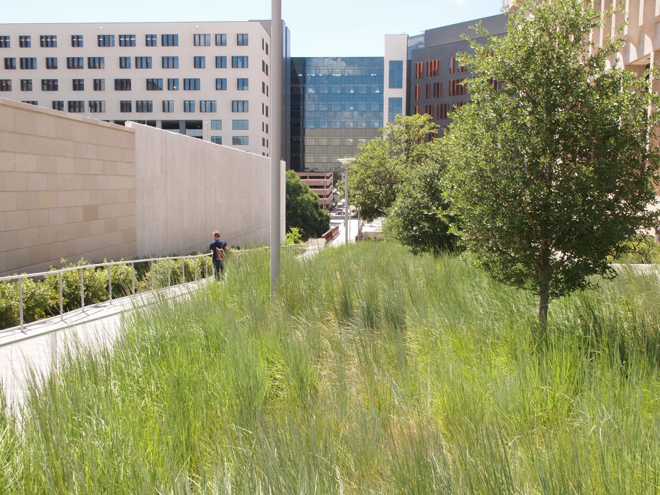 dell medical district landscape by sasaki