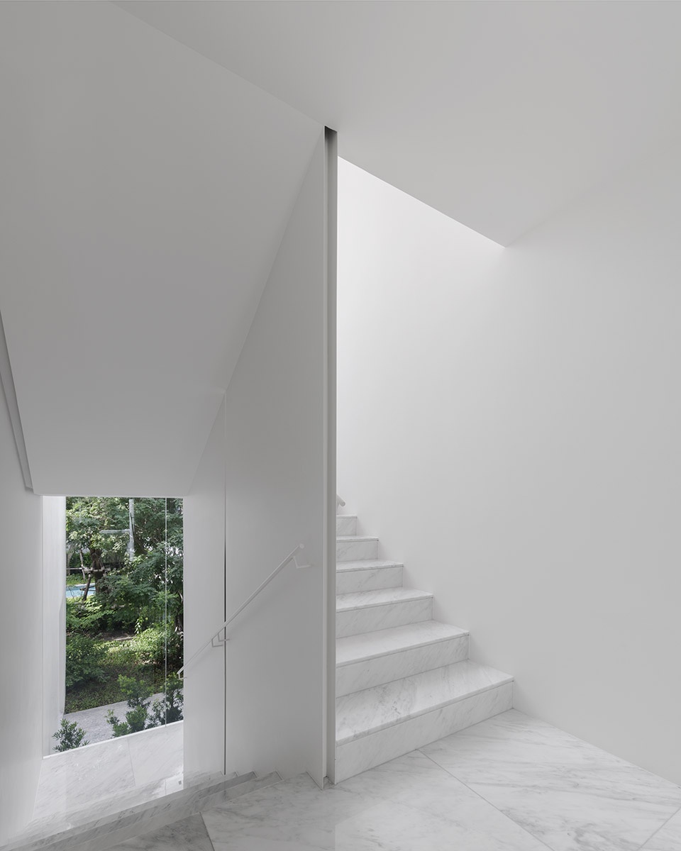 residence rabbits by trop terrains open space