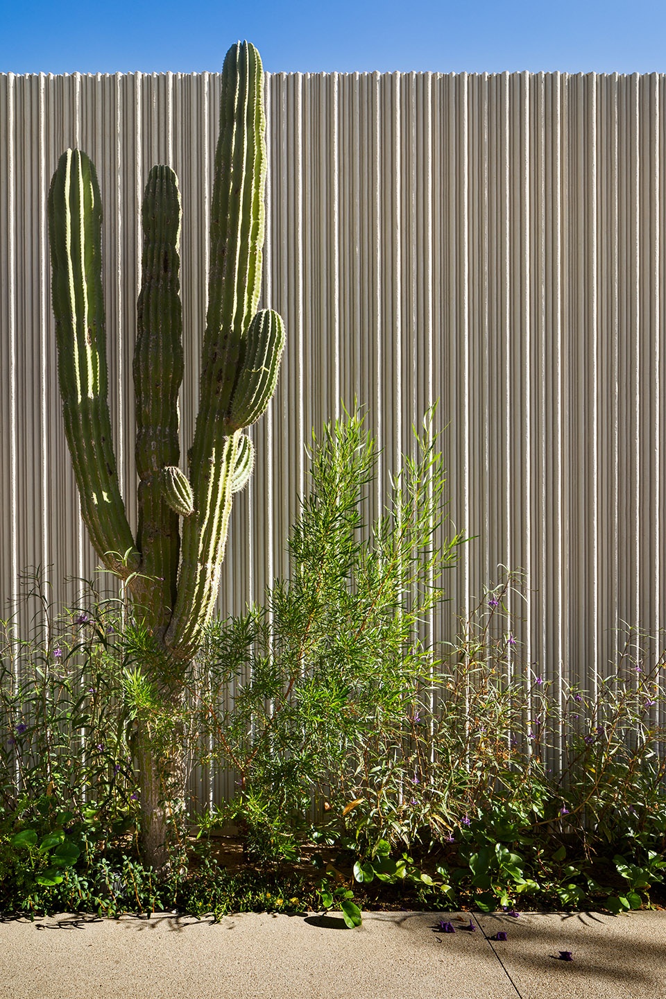 solaz los cabos by sordo madaleno arquitectos