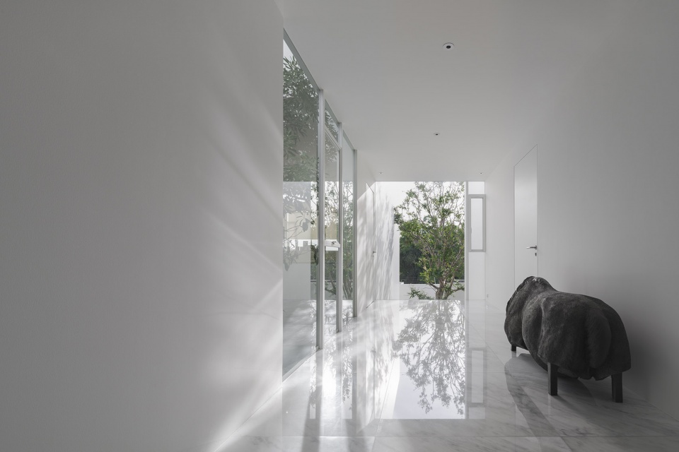 residence rabbits by trop terrains open space