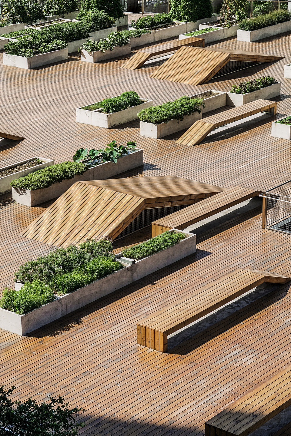 the planting terrace and the experience pavilion china by mozhao architects