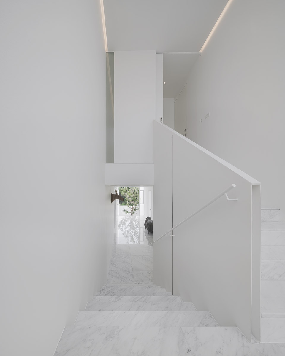 residence rabbits by trop terrains open space