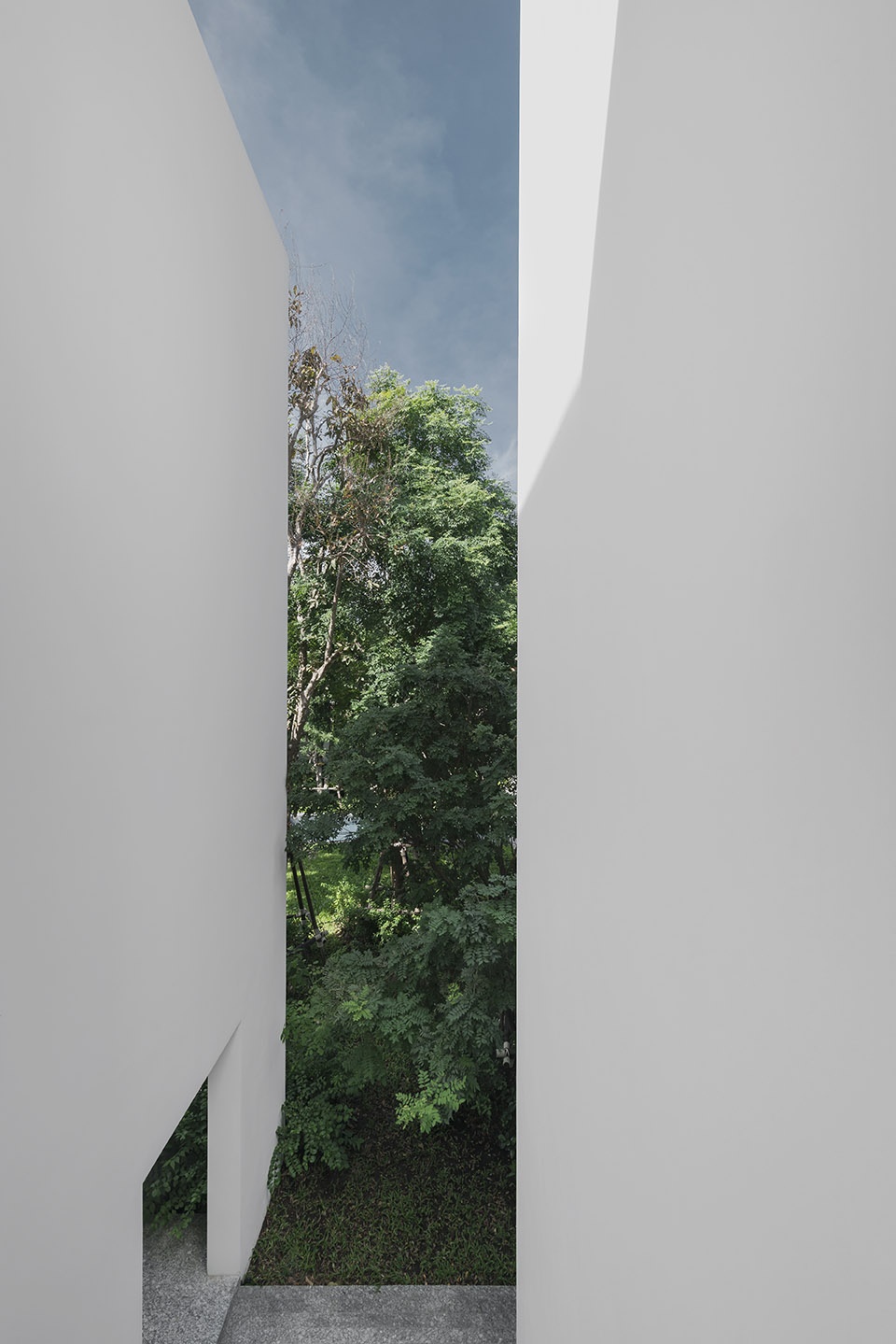 residence rabbits by trop terrains open space