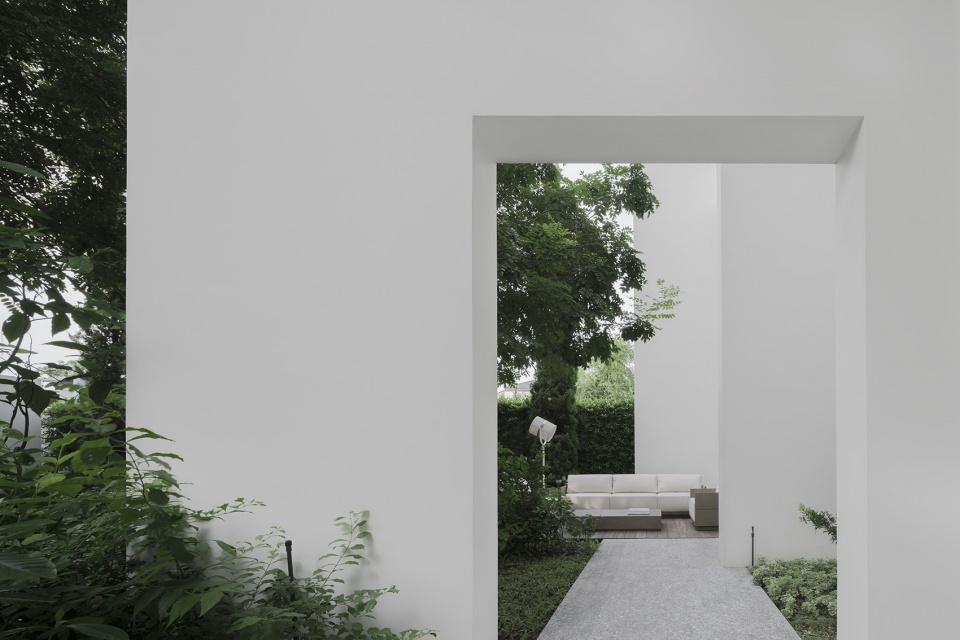 residence rabbits by trop terrains open space