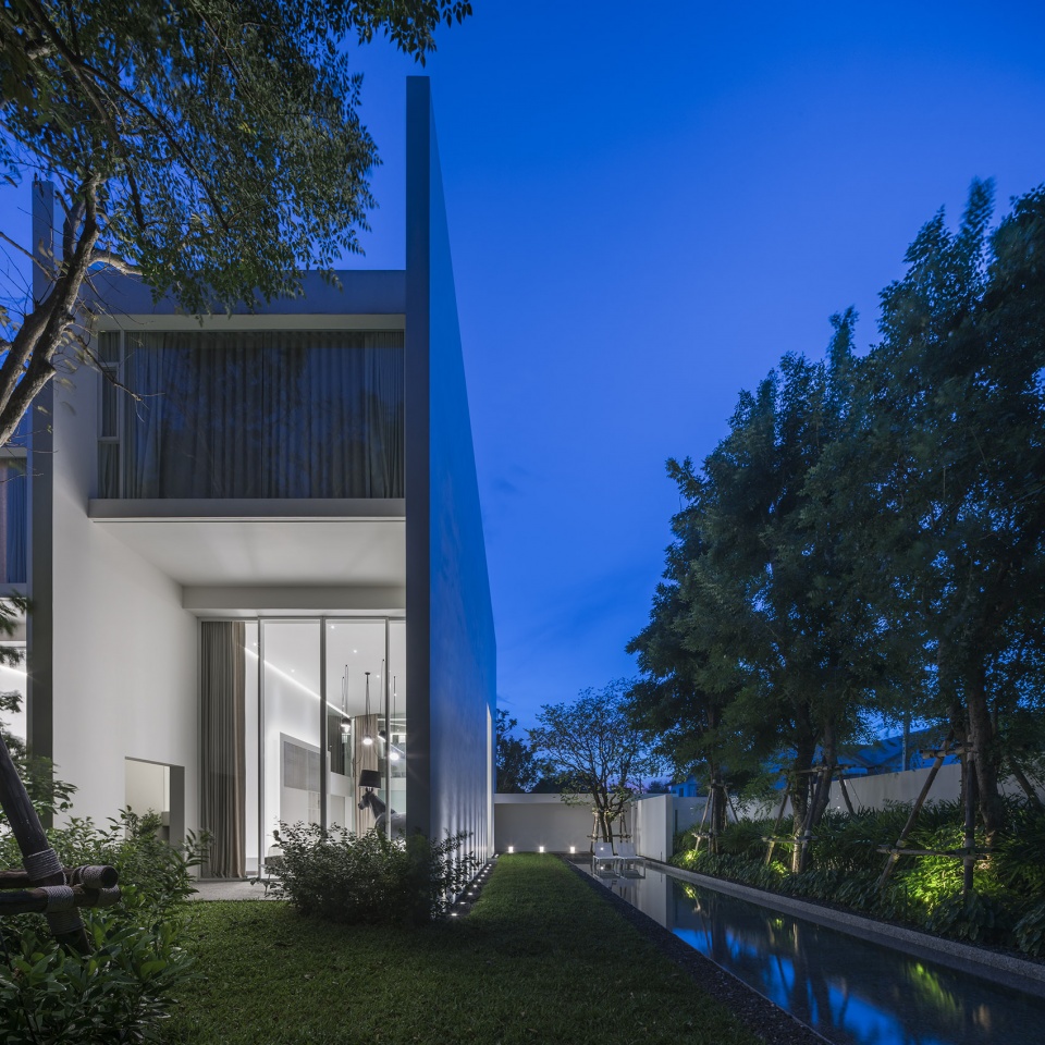 residence rabbits by trop terrains open space