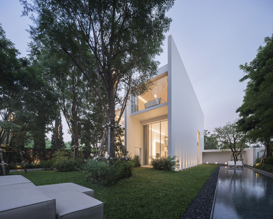 residence rabbits by trop terrains open space