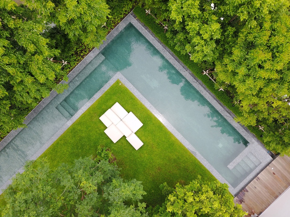 residence rabbits by trop terrains open space