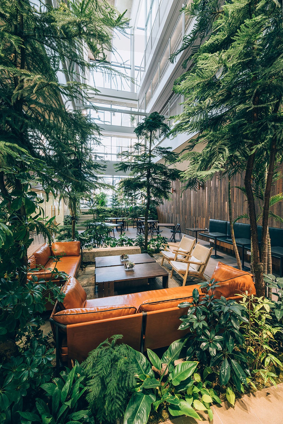 treehouse coliving by bo da architecture 1