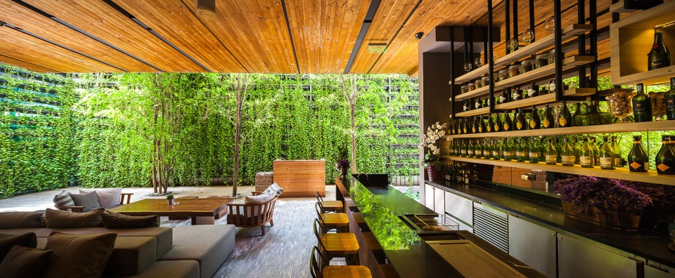under the ficus shade the garden of ad lib hotel