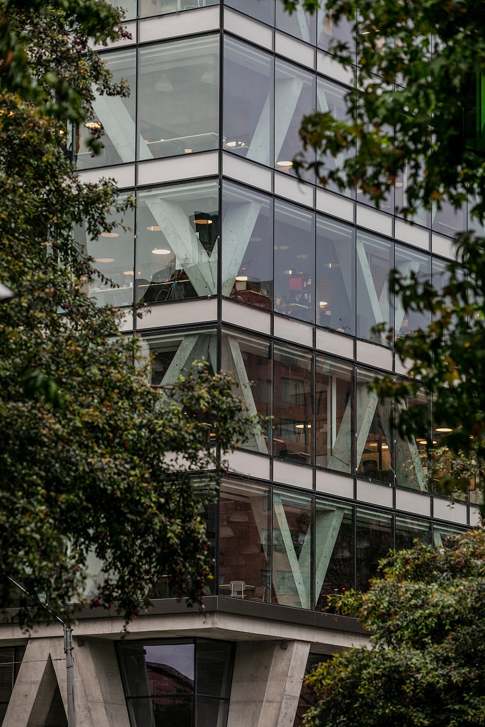 8111 by taller de arquitectura de bogota