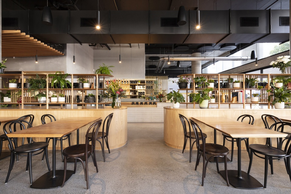 campos newstead by sp studio