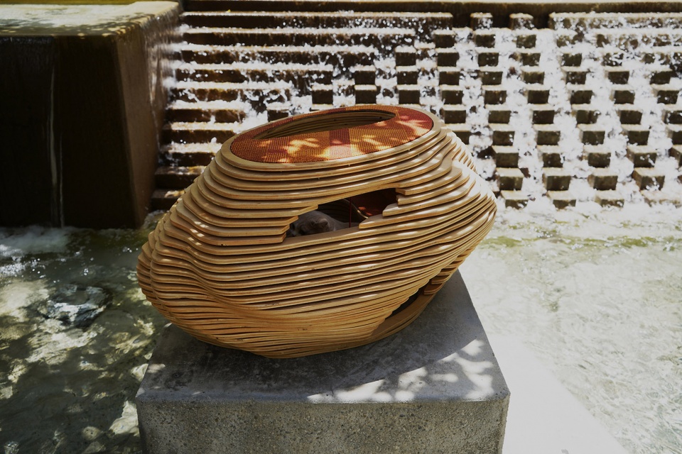cat bowl by xiaofeng mei