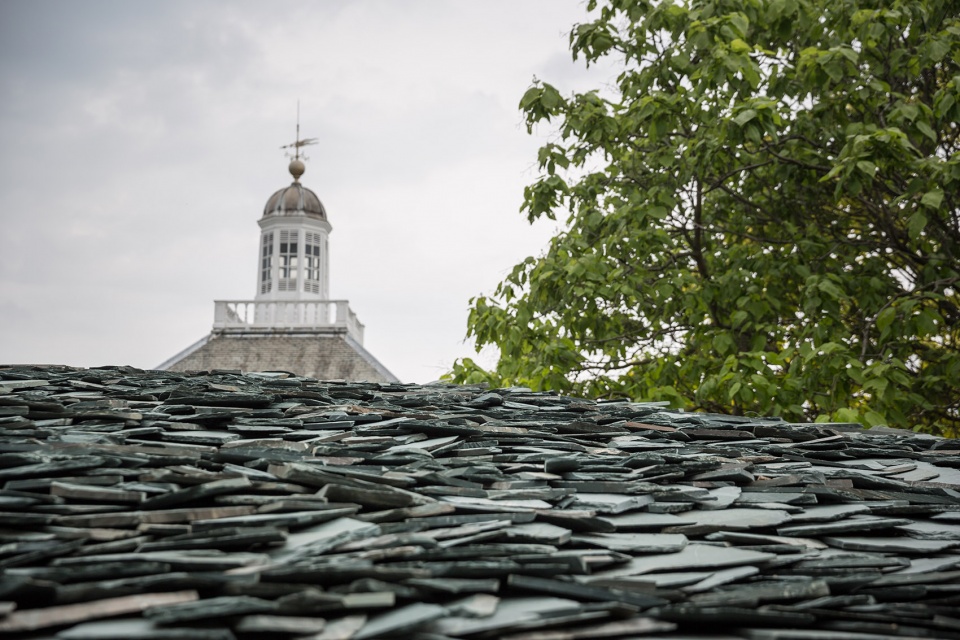 serpentine pavilion 2019 by junya ishigami