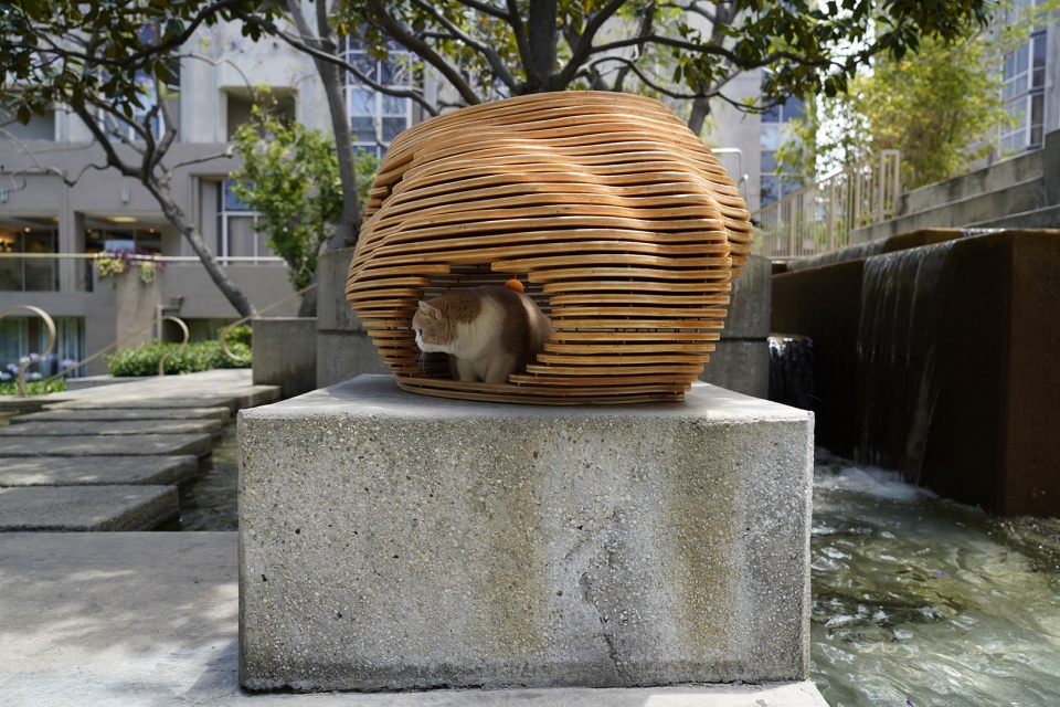 cat bowl by xiaofeng mei