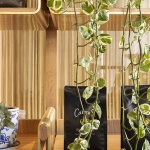 Campos Newstead咖啡烘焙店，布里斯班 / SP Studio