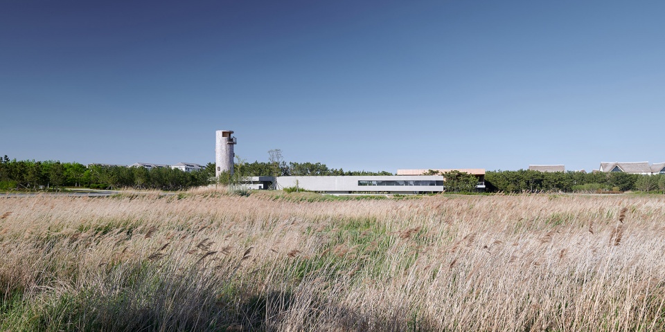 swan lake bridge house and viewing tower in shandong china by tao trace architecture office 1