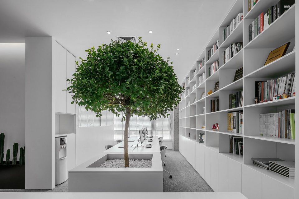 touch the sky china by touch design